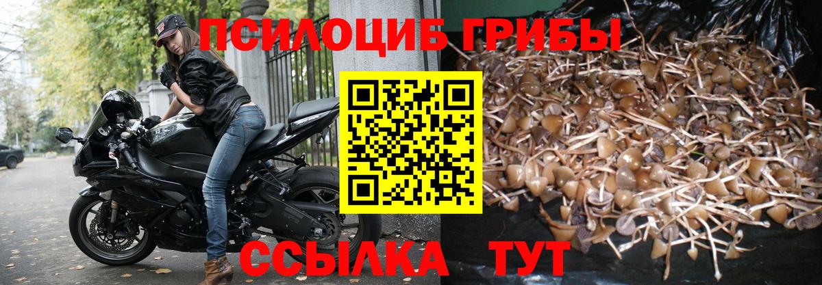Галлюциногенные грибы мицелий  Вход с VPN  закладка  Псков 