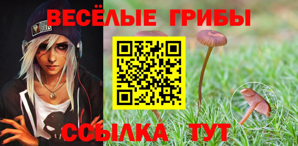 Галлюциногенные грибы MAGIC MUSHROOMS Псков
